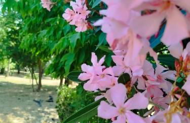 Cosy Home by l'Arche de Jo - Foto 8