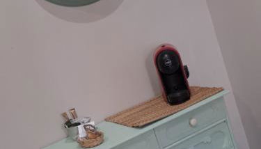 Musa Paradisiaca 6, un angolo tropicale a Torino - Foto 3