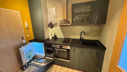 Altstadt Quartier 2 - Foto 4, stove, dishwasher