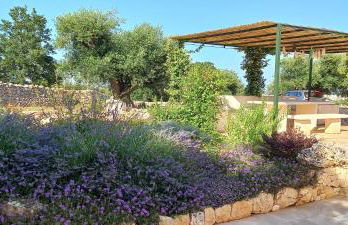 Il nido delle rondini - Foto 10