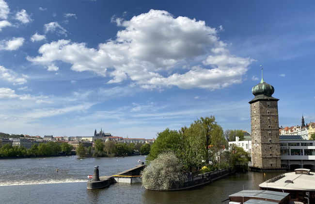 Prima Plus - Foto 26