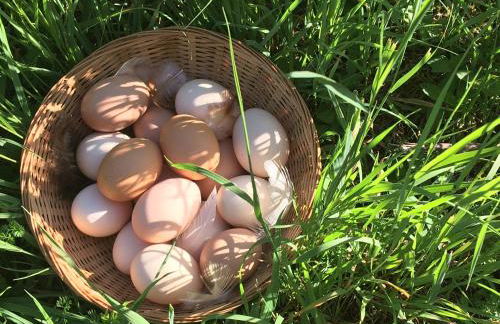 Gite Les Sources - Foto 29