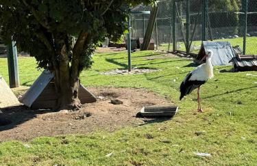 Chaleureuse annexe contemporaine - Foto 26