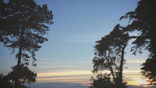 Cedarwood, an intimate and romantic cabin for two. - Foto 5