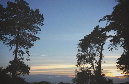 Cedarwood, an intimate and romantic cabin for two. - Foto 5