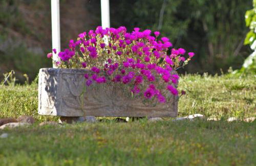 Apartamentos Embalse de Orellana - Foto 36