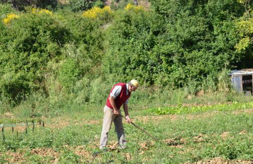 Palazzo Alle Mura - Foto 49