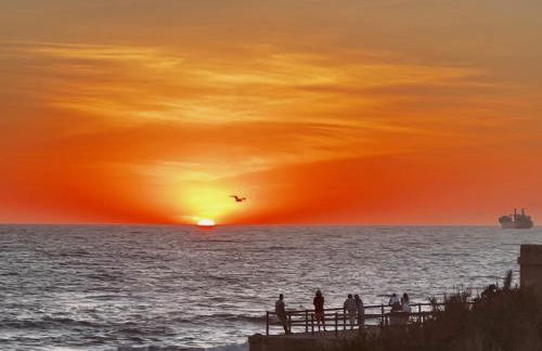 La Terraza de Porvenir 10 - Jerez de la Frontera - Foto 45