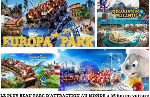 L'adresse Colmarienne - RDC - Terrasse - Garage - Foto 37