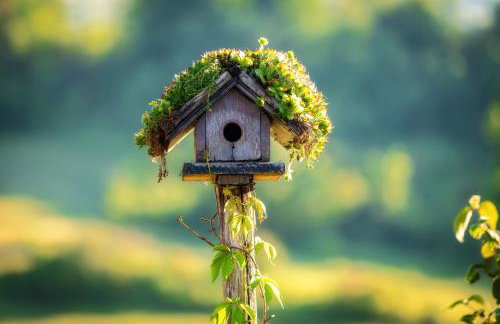 Farmstay Kotić - Foto 31