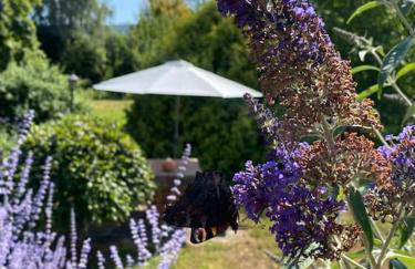 Apartment mit romantischem Garten an der Märchenstraße! - Foto 15