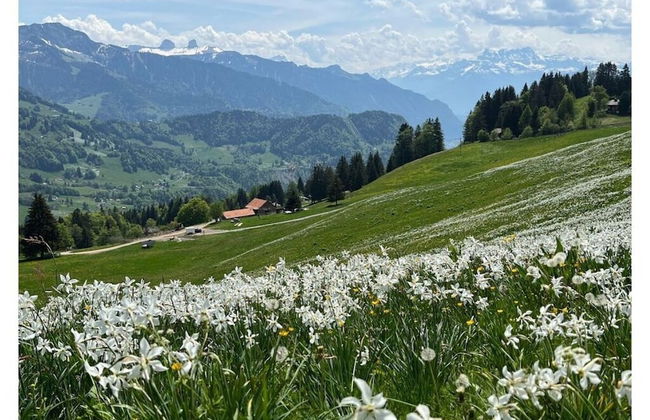 La Vigneronne, Tuin - Foto 4