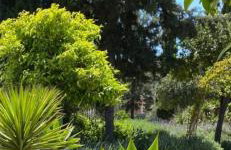 Villa-Agave , by the sea in Porto-Rafti outside Athens - Foto 41