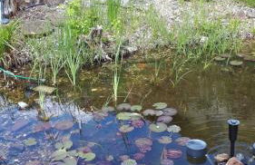 Ferienwohnung Atlantis - Foto 19