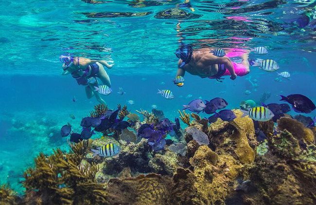 Cruzeiro de mergulho de luxo Riviera Maya com almoço e bebidas - Foto 12