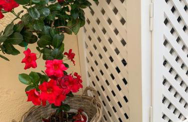 Harry's Studios - Photo 21