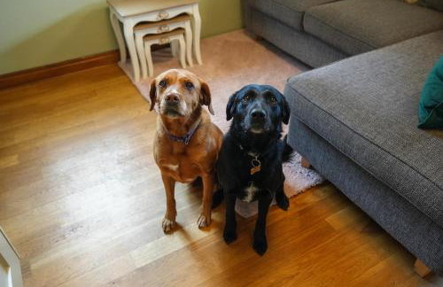 Manor Cottage - Foto 20