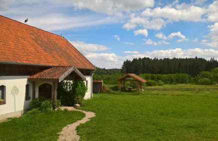 Jabłkowo-na skraju Puszczy Boreckiej ŚNIADANIA W CENIE - Foto 14