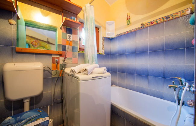 Victorious VIScovery Yellow - Foto 32