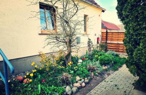 Ferienhaus am Pferdehof - Photo 20