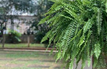 Casinha de Setiba - Foto 22