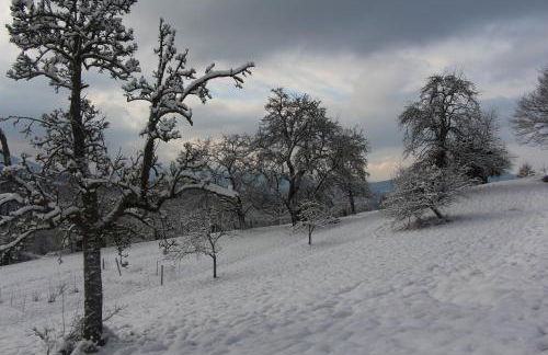 Ferienwohnungen Brack in Gaggenau - Foto 28