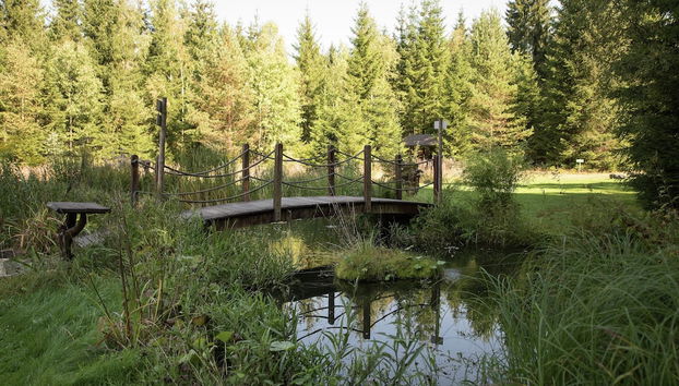 Holiday Home in Jagersgrun With Sauna - Photo 2, Primary image