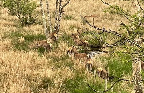 Fox Corner, Ambleside, romantic retreat for two, dog friendly, hot tub - Photo 38