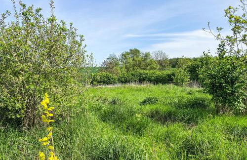 Holiday Home Eschengrund by Interhome - Foto 9