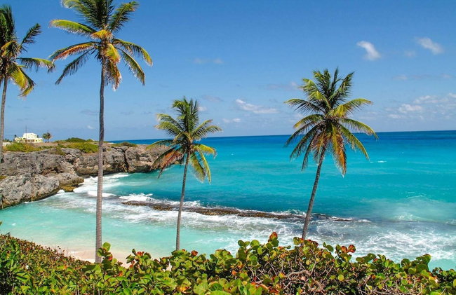 Ocean View by Bluescape - Foto 54