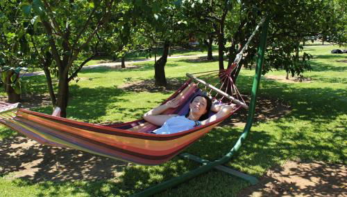 Le Jardin de Temeni - Foto 1, Garden