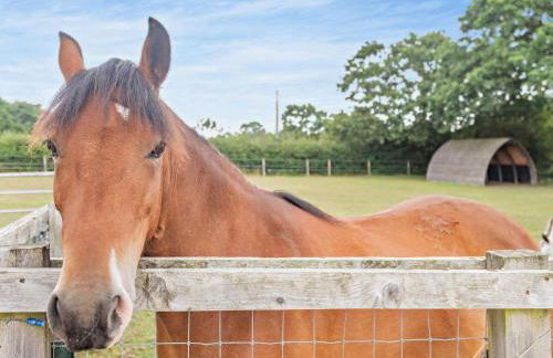 1 Bed in Southampton oc-92943 - Foto 17