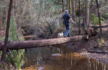 1870s Stained Glass Nostalgia - Foto 3
