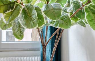 Le passage du renard pour 6 personnes avec parking - Foto 19