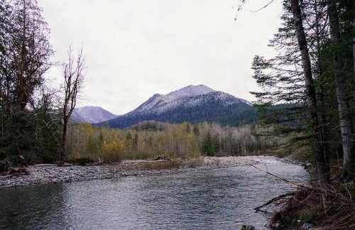 River Rock Chalet :: Hot Tub, Pets, Stevens Pass - Foto 43