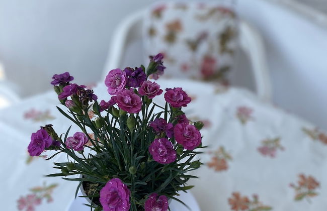 Sedef Pansiyon Apart Otel Sarkoy - Foto 14