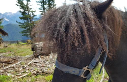 Lüch da Börz - Foto 13