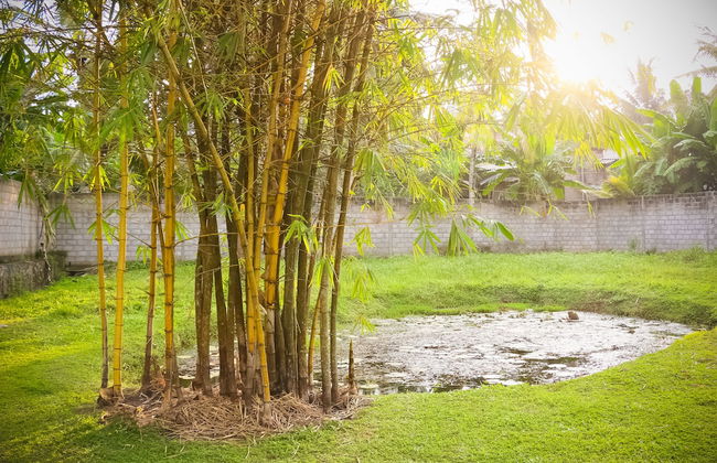 Horahena Farm Stay - Foto 24