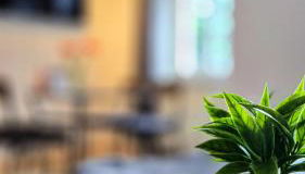 NUWILU TWO - WOHLFÜHLAPARTMENT im Herzen Erfurts - Magenta TV- Netflix - Disney - Foto 5