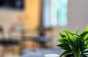 NUWILU TWO - WOHLFÜHLAPARTMENT im Herzen Erfurts - Magenta TV- Netflix - Disney - Foto 5