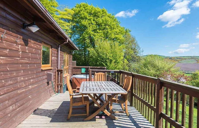 Mountain Ash Lodge - Photo 11