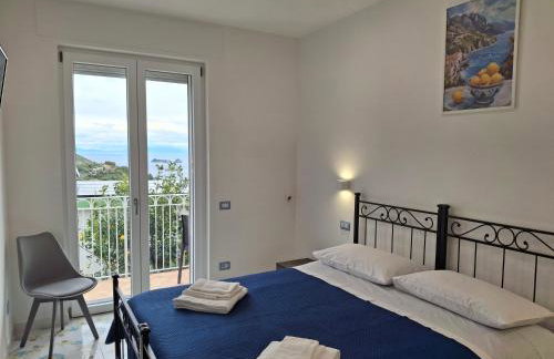 Rosa House - Photo 18