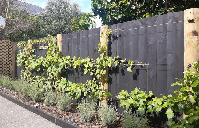 Harbour View Cottage B&B - Foto 48