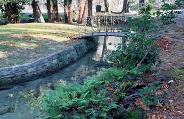 Appartement Au Murmure des Eaux à Fontaine-de-Vaucluse - Foto 5
