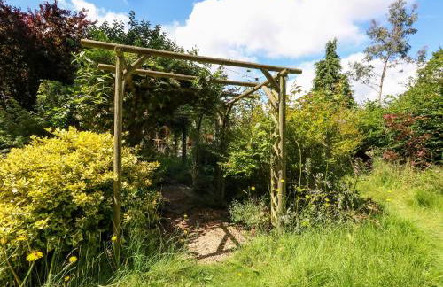 Little Timbers - Foto 40