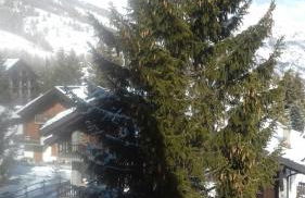 Ca del nono - Foto 6