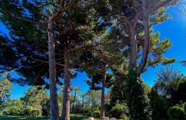 Castillo Meng - Foto 70