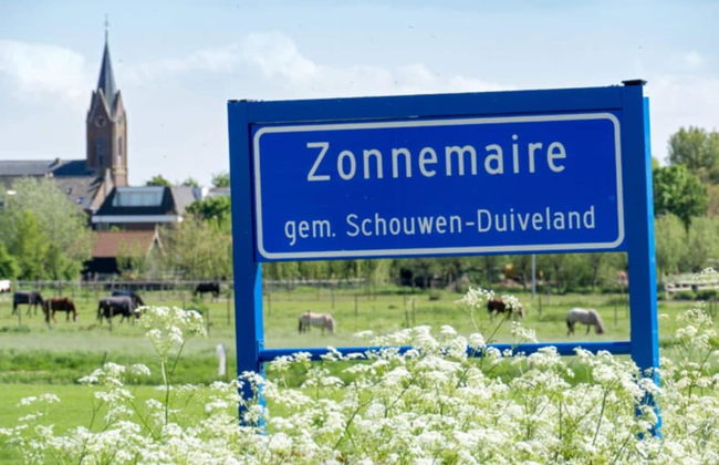 Quaint Holiday Home in Zonnemaire With Roofed Terrace - Foto 26