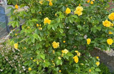 Gästezimmer Am Haarhaus - Foto 9