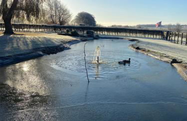 Danielle’s den - Foto 27